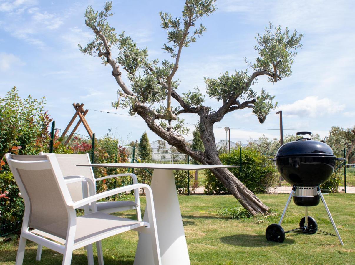 Antico Podere San Francesco Vada Eksteriør bilde